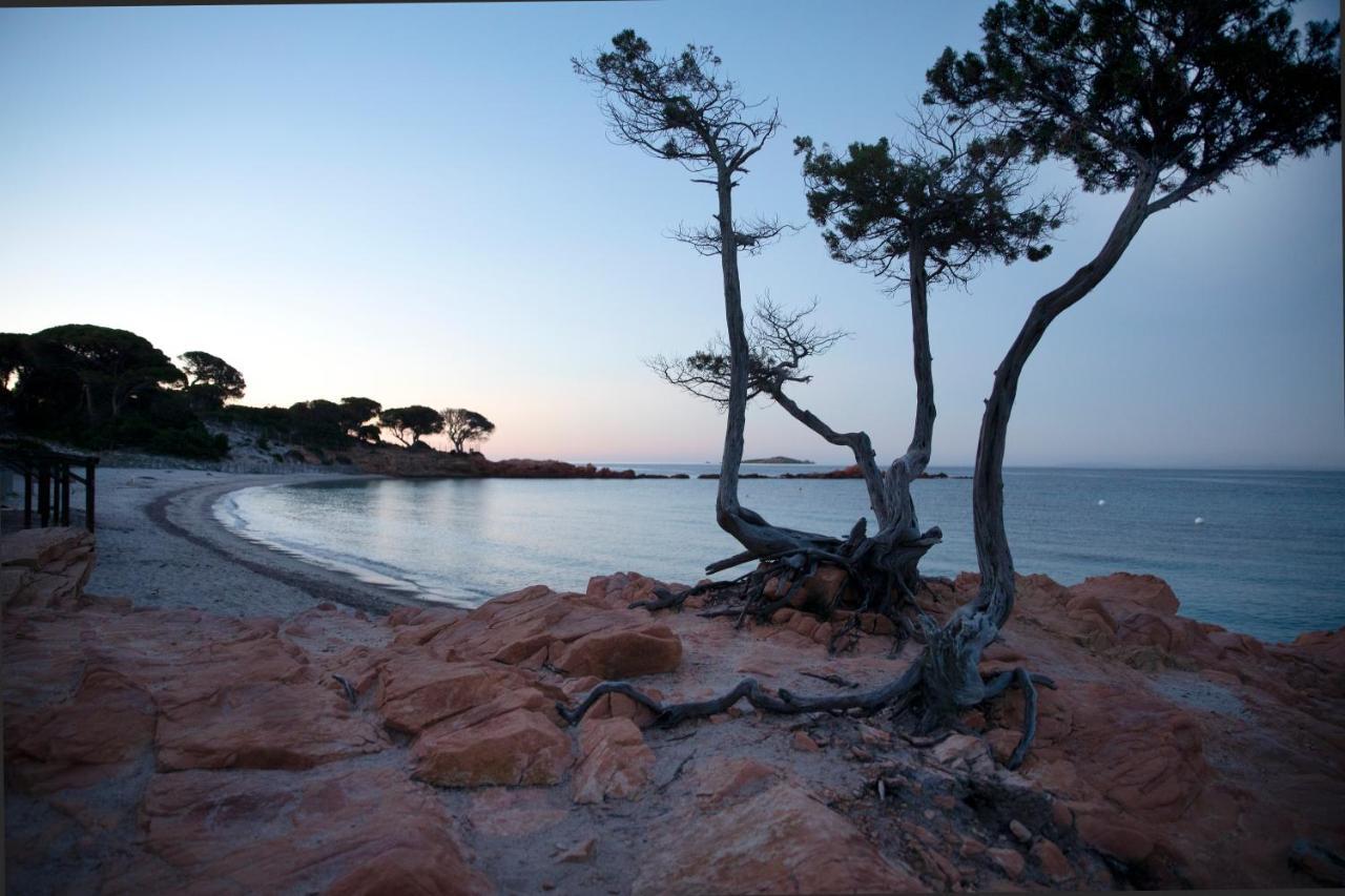 Residence U Latonu - Palombaggia Porto-Vecchio  Eksteriør bilde
