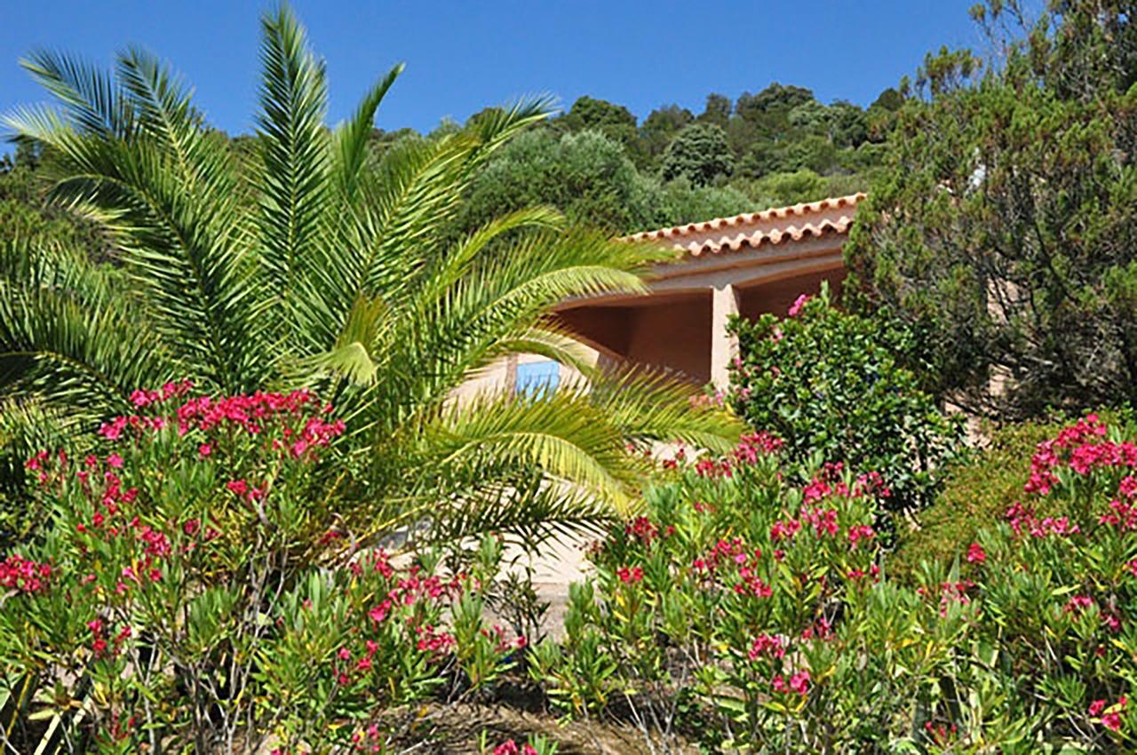 Residence U Latonu - Palombaggia Porto-Vecchio  Eksteriør bilde