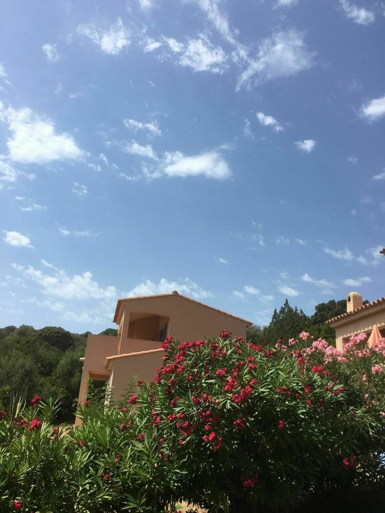 Residence U Latonu - Palombaggia Porto-Vecchio  Eksteriør bilde